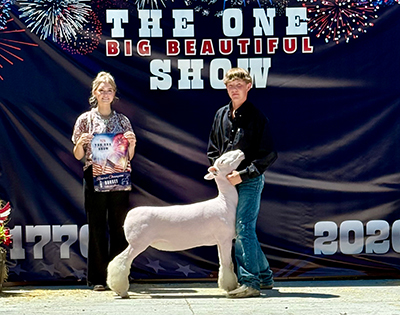 Reserve Dorset Ewe, Ring B
One Big Beautiful Show, ID