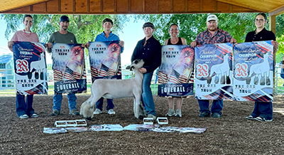 CAULIFLOWER
Supreme Ewe & Champion Cross Ewe, Ring A & B
Reserve Supreme Market Lamb, Ring A
Supreme Market Lamb, Ring B