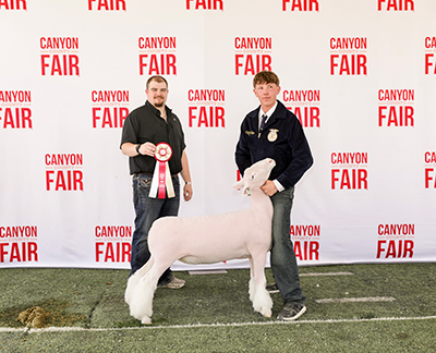 Dolly
Reserve Champion Dorset Ewe
2026 Canyon County Fair, ID