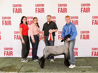 GLO!
Reserve Champion Natural Ewe
2026 Canyon County Fair, ID