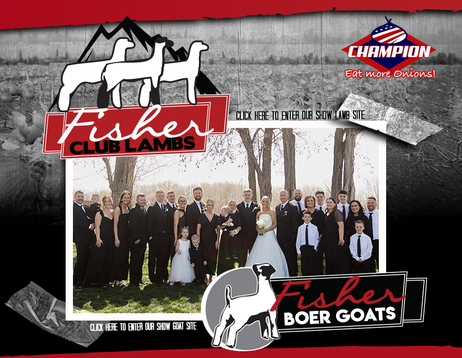 Fisher Club Lambs and Boer Goats