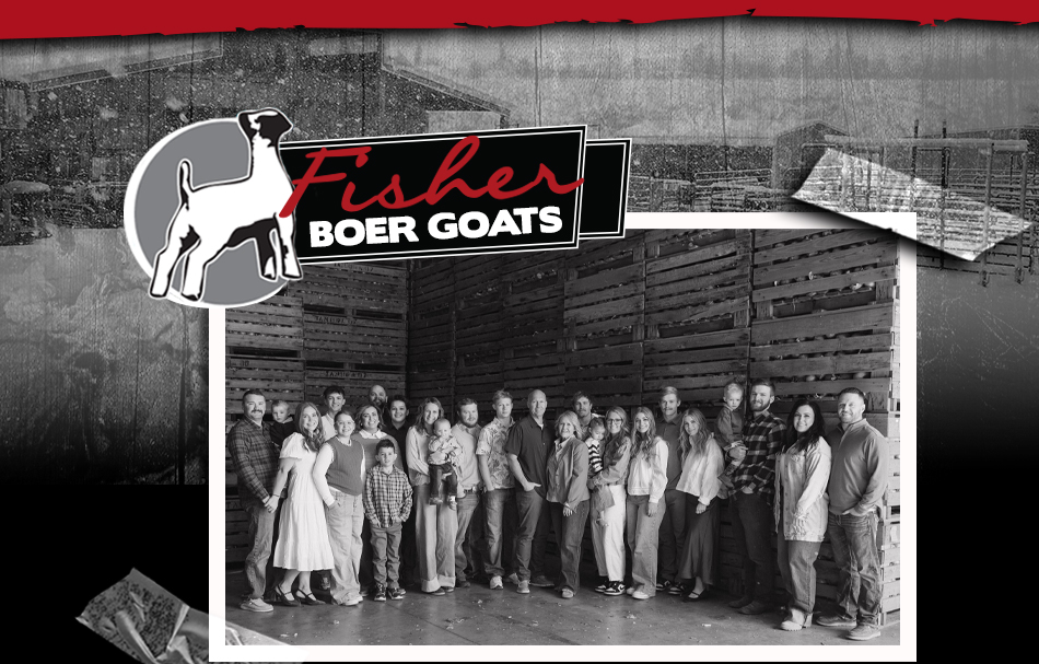 Fisher Boer Goats