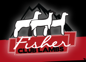 Fisher Club Lambs